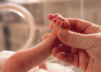 small premature baby lies in an incubator a grown hand reaches in grasping the foot in caring manner