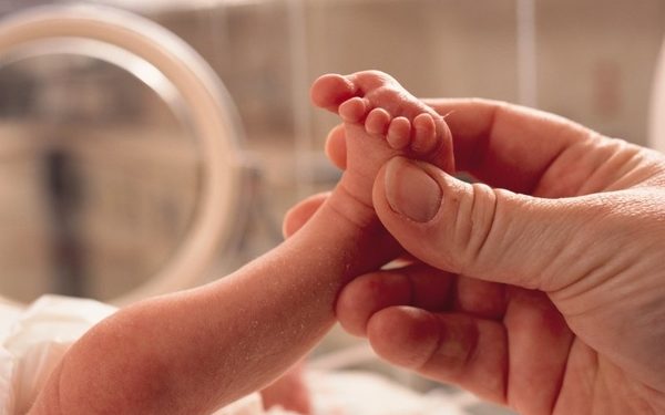 small premature baby lies in an incubator a grown hand reaches in grasping the foot in caring manner