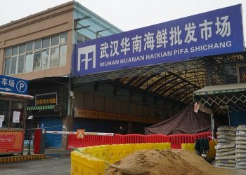 The Wuhan Huanan Wholesale Seafood Market, where a number of people related to the market fell ill with a virus, sits closed in Wuhan, China.  (AP Photo/Dake Kang)