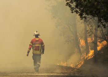 epa08567019 A fireman fights a forest fire in Serta, Castelo Branco, centre of Portugal, 26 July 2020. The fire started yesterday in Oleiros and is being fought by 717 operational, 218 vehicles and 14 airplanes.  EPA-EFE/PAULO CUNHA