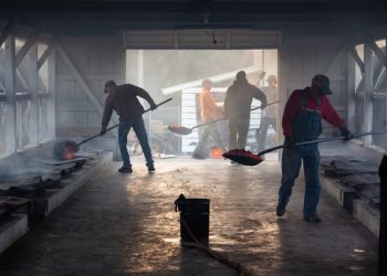 Фото: Stephen Philpott/ Unsplash