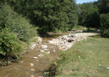 Фото: Википедија