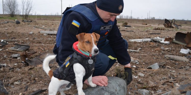 Фото: Државна служба за итни случаи на Украина