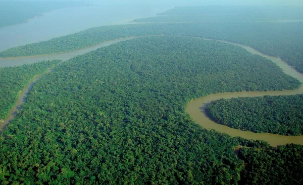 Германија инвестира над 200 милиони евра во заштита на амазонската прашума