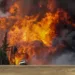 Photograph: Mark Blinch/Reuters