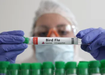 FILE PHOTO: A person holds a test tube labelled "Bird Flu", in this picture illustration, January 14, 2023. REUTERS/Dado Ruvic/Illustration