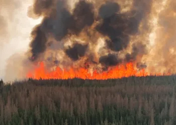 Alberta Wildfire via Twitter