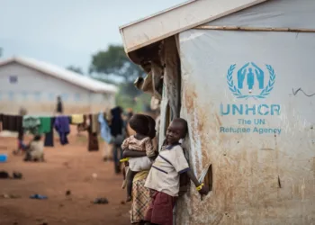 Фото: UNHCR /Will Swanson