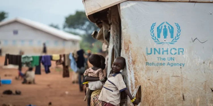 Фото: UNHCR /Will Swanson