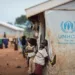Фото: UNHCR /Will Swanson