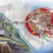 David Rowe