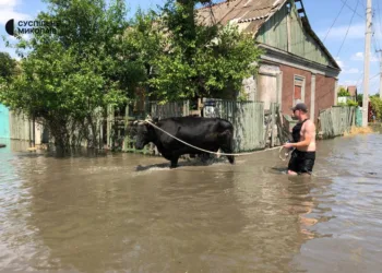 Суспільне Миколаїв/Facebook