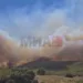 Фото: МИА