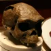 Homo erectus, World History Encyclopedia. Фото: Ryan Somma / Flickr