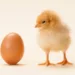 Photo Credit Z. Luk/Shutterstock