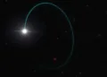 Илустрацијата ги прикажува орбитите на ѕвездата и црната дупка, наречени Гаја БХ3. L. Calçada/ESO