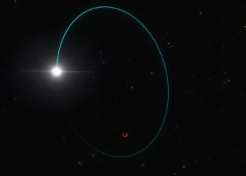 Илустрацијата ги прикажува орбитите на ѕвездата и црната дупка, наречени Гаја БХ3. L. Calçada/ESO