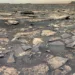 Фото: NASA/JPL-Caltech/MSSS