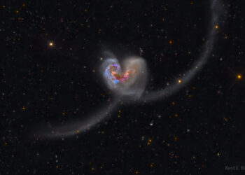 Photo: Kent E. Biggs/NASA Pic of the day February 2024 - The Heart Shaped Antennae Galaxies