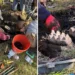 Фото: Државeн музеј на Њујорк