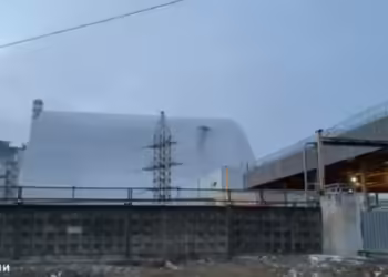 Фото: Скриншот