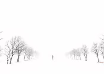 Илустрација: Loneliness - deepAI, Shortcut