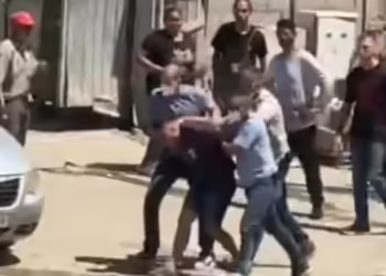 Фото: ЗНМ