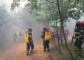 Фото: ЦУК