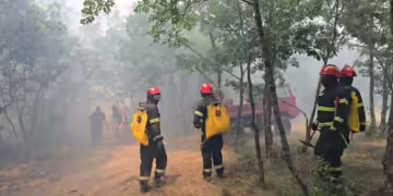 Фото: ЦУК