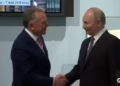 Фото: Скриншот од видео на Global news