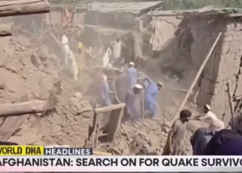 Фото: Скриншот од видео на WION